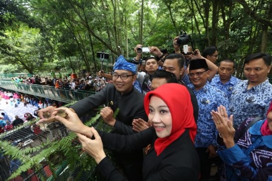 Kini Kota Bandung Miliki Forest Walk Terpanjang Di Asia Tenggara