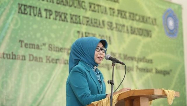Emma Solihin Ajak Kader PKK Kota Bandung Aktif