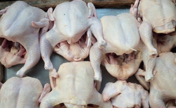 Heri Darmawan; Diharapkan Peternak Ayam Tidak “Jor-Joran”