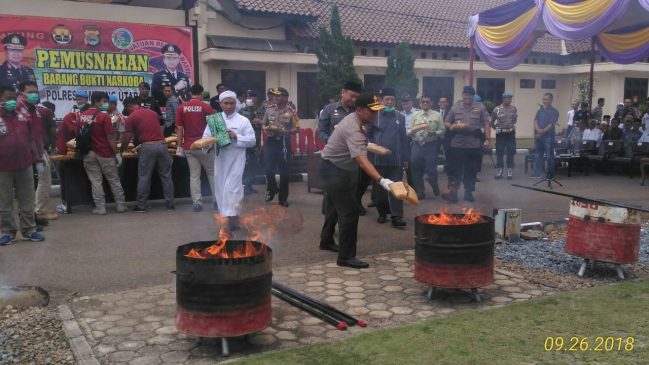 Kapolda Lampung Bersama Kapolres Lampura dan Bupati, Musnahkan Ganja 57 Kg