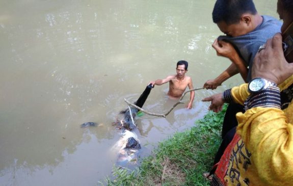 Warga Pencari Kerang Temukan Mayat di Bantaran Sungai Way Pengubuan