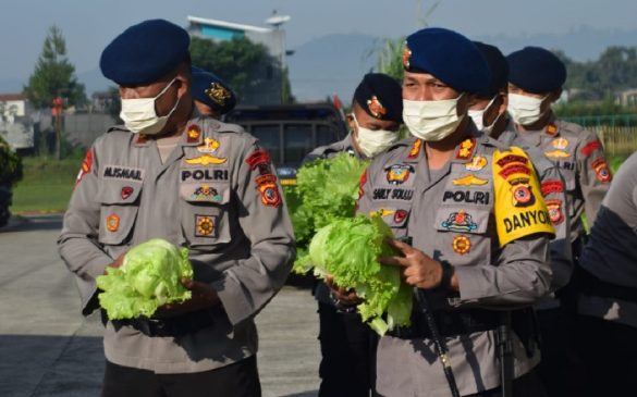 Batalyon B Pelopor Sat Brimob Polda Jabar Manfaatkan Lahan Kosong Untuk Bercocok Tanam