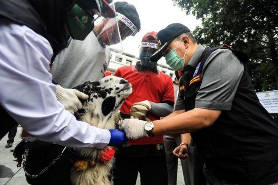 Jelang Iduladha, Pemkot Bandung Mulai Terjunkan Satgas Pemeriksa Hewan Kurban