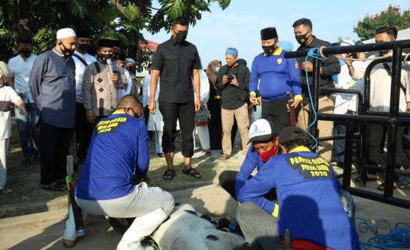 Kapolda Jabar Serahkan Secara Simbolis 54 Ekor Hewan Kurban