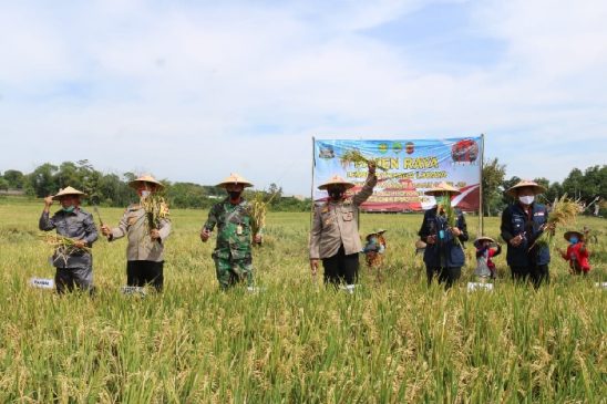 Kapolda Jabar Bersama Kasdam III/Slw Laksanakan Panen Raya Serentak