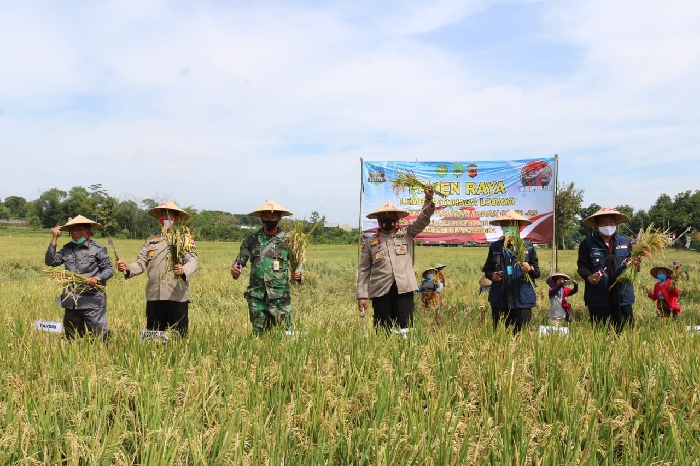 Kapolda Jabar Bersama Kasdam III/Slw Laksanakan Panen Raya Serentak