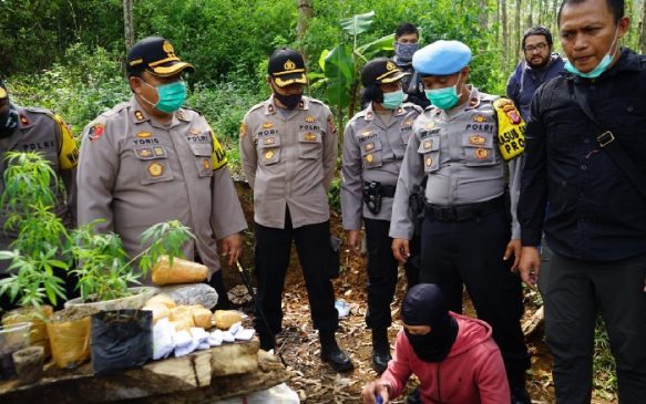Polres Cimahi Polda Jabar Ungkap Kasus Lahan Ganja
