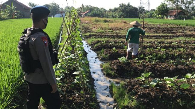 Sat Brimob Polda Jabar Kunjungi Petani Kampung Tangguh Cek Ketahanan Pangan