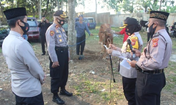 Kapolres Sukabumi Kota Buka Prosesi Penyembelihan 27 Hewan Kurban