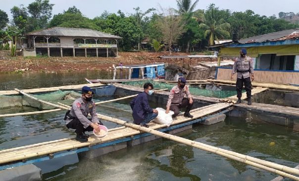 Sat Brimob Polda Jabar Ajak Warga Budidaya Ikan Lele dan Ikan Nila