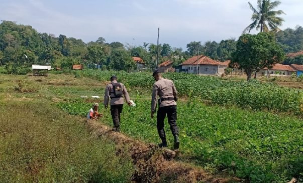 Sat Brimob Polda Jabar Bina Ketahanan Pangan Kampung Tangguh