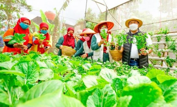 Wali Kota Bandung Resmikan Kawasan Pertanian Terpadu “Sekemala Integrated Farming”