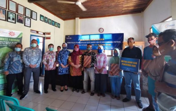 bank bjb Salurkan KUR kepada Para Petani di Indramayu