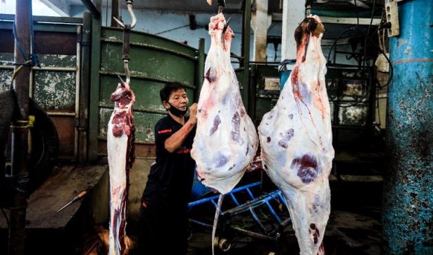Dispangtan Kota Bandung Tegaskan Ketersediaan Daging Sapi Aman 3 Bulan Kedepan