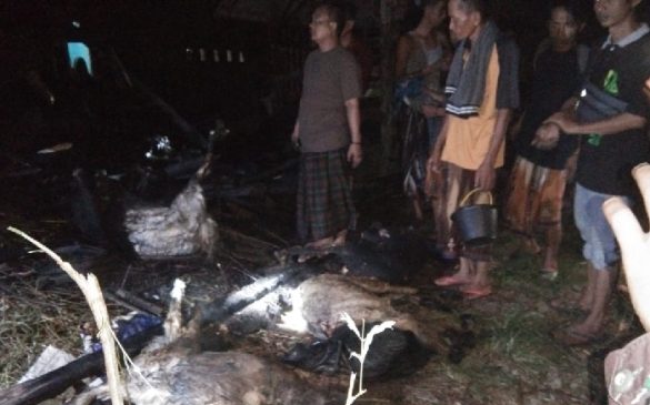 Anggota Polres Indramayu Datangi TKP Kebakaran Kandang Kambing