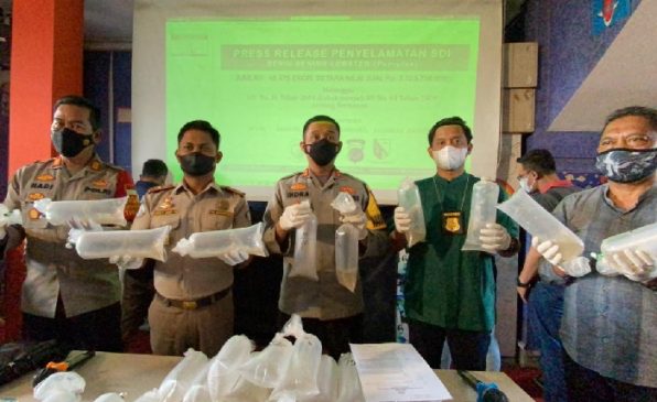 Polresta Bandung Amankan Dua Tersangka Penyelundup Puluhan Ribu Benih Lobster