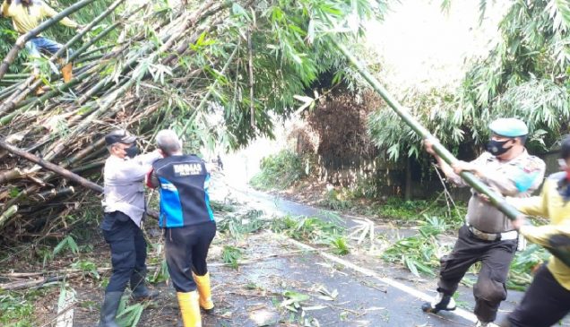 Personel Polresta Bandung Bersama Warga Evakuasi Pohon Tumbang di Ciluluk-Cijapati