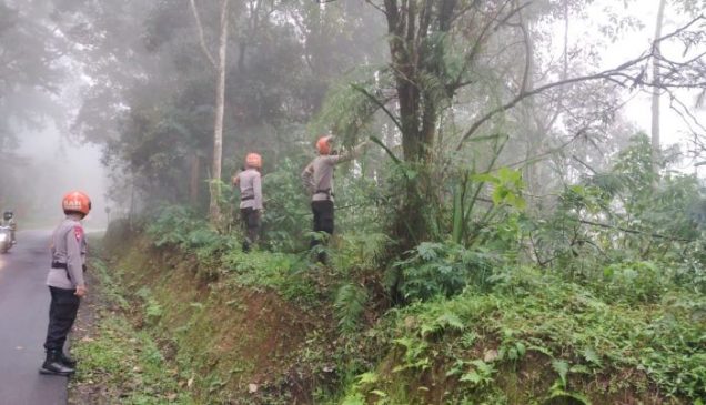 Tim SAR Sat Brimob Polda Jabar, Cek Pohon Rawan Tumbang di Sekitar Jalan Lembang