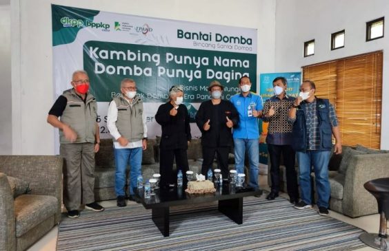 Melalui KUR Kemitraan, bank bjb Dukung Kesejahteraan Peternak Domba Garut