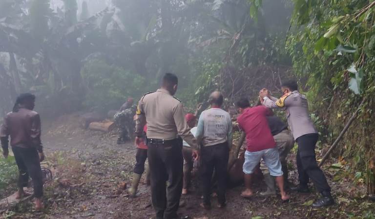 Halangi Jalan, Polisi Bersama Babinsa Bantu Warga Evakuasi Pohon Tumbang