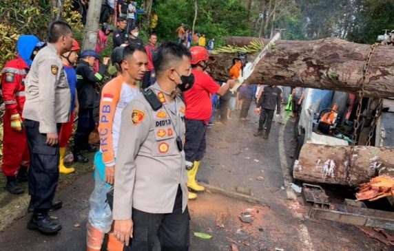 Kabid Humas Polda Jabar: Polisi Ikut Bantu Evakuasi Korban Tertimpa Pohon Tumbang di Cikidang