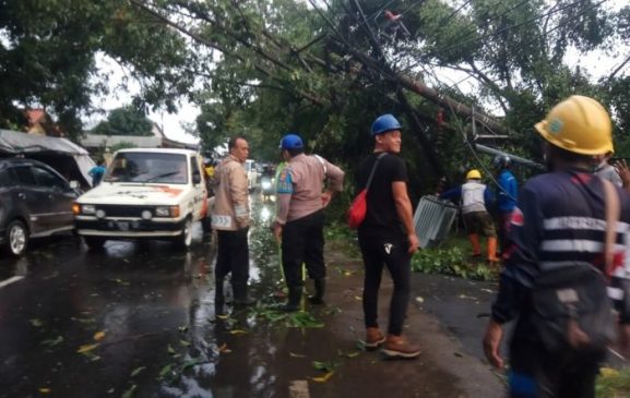 Gerak Cepat Datangi Lokasi Kejadian Pohon Tumbang, Polisi Urai Kemacetan Arus Lalin di Majalengka