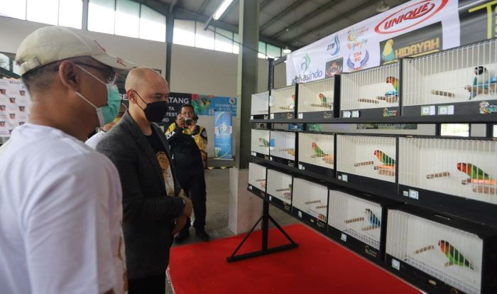 Hadiri National Love Bird Beauty Contest, Edwin Harap Para Peserta Bahagia Selama Kegiatan
