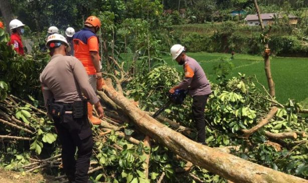Tim SAR Sat Brimob Polda Jabar Terjun Langsung Bantu Warga Sukabumi yang Terkena Dampak Bencana Angin Puting Beliung
