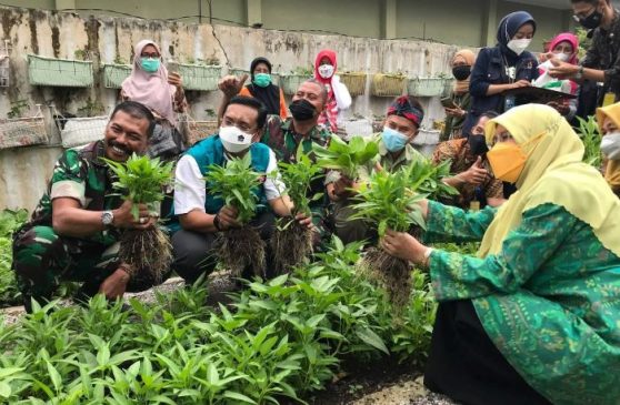 Ketua DPRD Kota Bandung Resmikan Buruan SAE Mang Oded