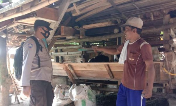 Antisipasi PMK, Polisi Cek Kandang Ternak