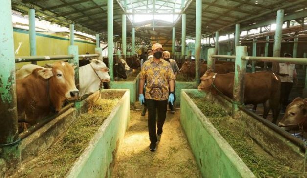 Cegah Sebaran PMK, Pemkot Bandung Vaksin dan Rapid Hewan Ternak