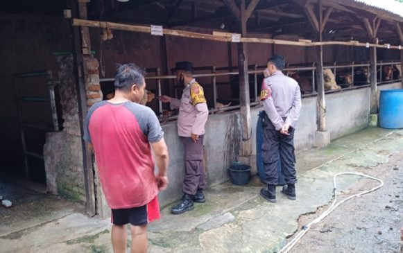 Polisi Cek Hewan Ternak Milik Masyarakat Cegah Penyakit PMK