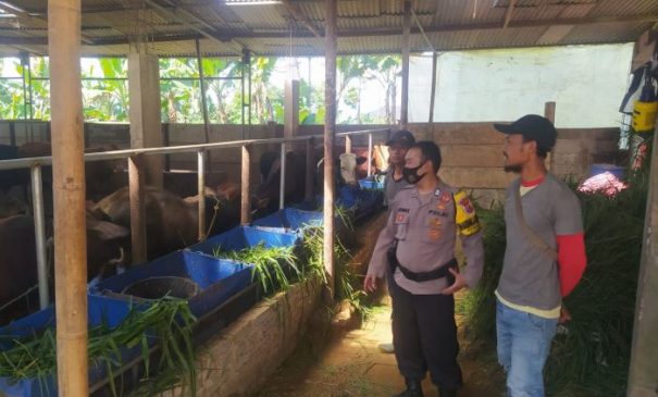 Minimalisir Penyebaran Virus PMK, Polisi Gencar Lakukan Monitoring dan Pengecekan