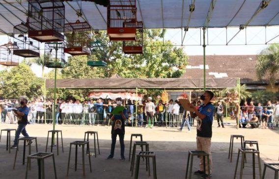 Polda Jabar Gelar Lomba Burung Berkicau di Rangkaian Hari Bhayangkara ke-76