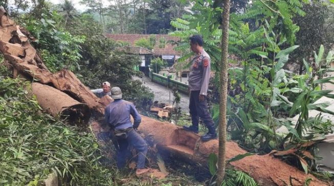 Polisi Bantu Evakuasi Pohon Tumbang Menimpa Rumah Warga Desa Tangkolo