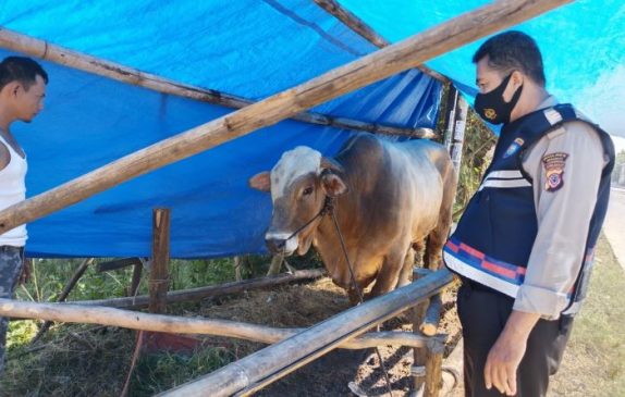 Antisipasi PMK, Polisi Intensif Lakukan Pengecekan Hewan Ternak Dalam Rangka Ops Aman Nusa II di Indramayu