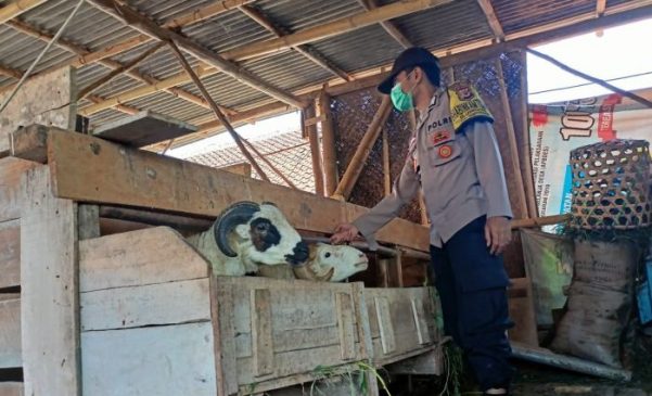 Guna Antisipasi PMK, Polisi Cek Ternak Warga di Desa Leuwiseeng