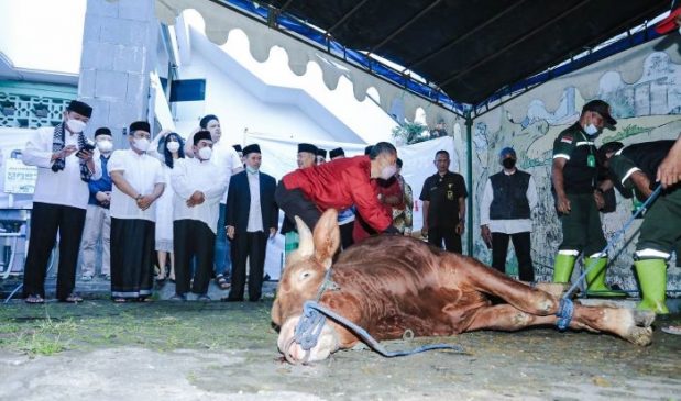 Hari Raya Iduladha 1443 H, Pemkot Bandung Bagikan 45 Sapi dan 100 Domba ke Masyarakat
