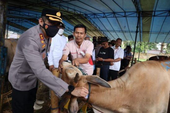 Jelang Hari Raya Idul Adha, Polisi Rutin Cek Hewan Kurban di Wilayah Sukabumi
