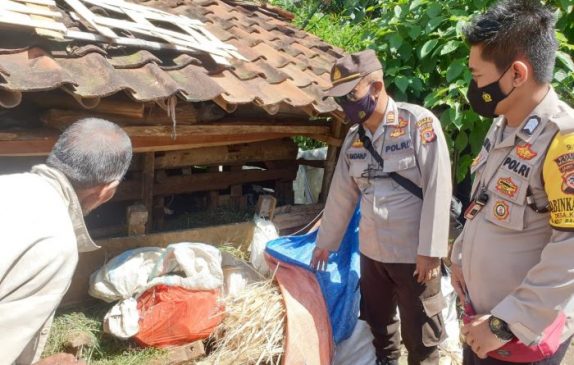 Mendekati Hari Idul Adha, Polisi Terus Cek Kesehatan Hewan Ternak Warga