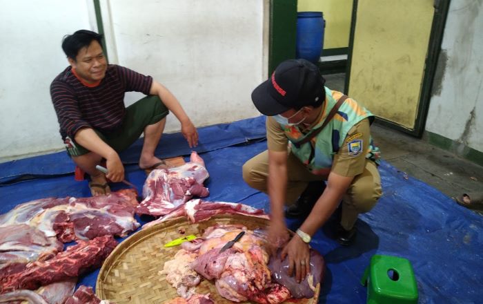 Sebanyak 369,65 Kg Jeroan Sapi dan Domba Kurban Dimusnahkan DKPP Kota Bandung
