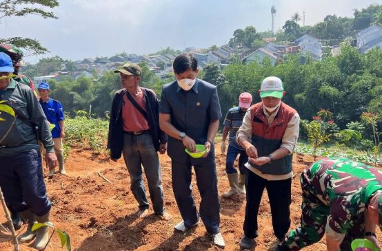 DPRD Dorong Pemkot Permudah Akses Bibit Tanaman Gratis