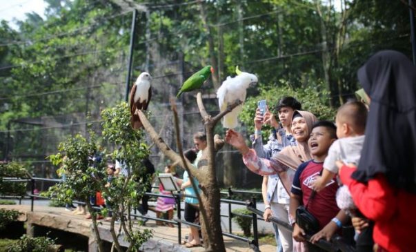 Simak! Begini Sejarah Kebun Binatang Bandung