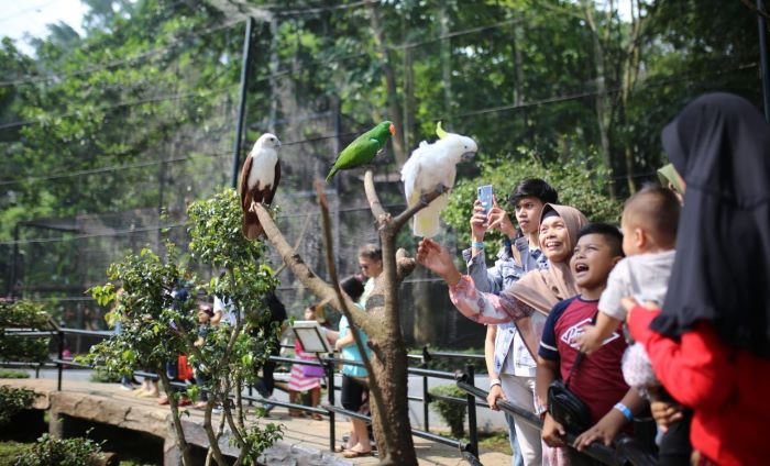 Simak! Begini Sejarah Kebun Binatang Bandung