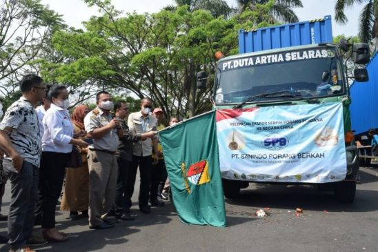 bank bjb Dorong Petani Porang di Kabupaten Bandung Sejahtera