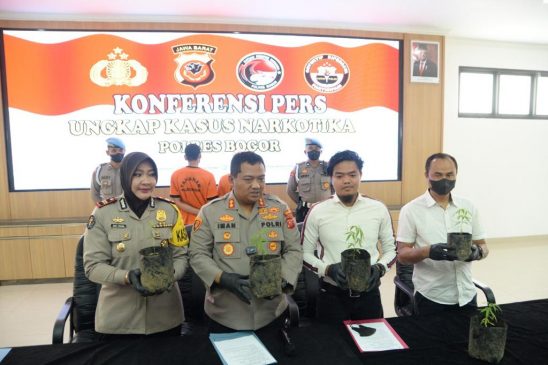 Pelaku Penyalahgunaan Tanaman Ganja Kembali Diungkap Polisi di Bogor