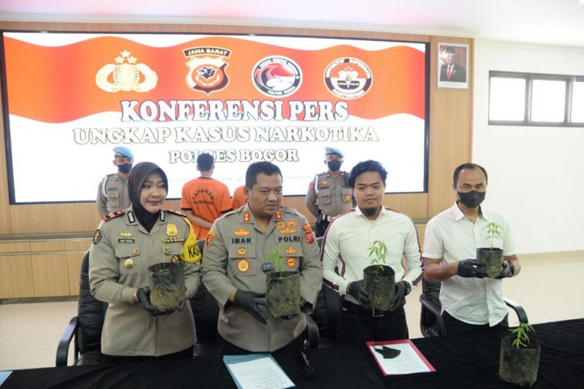 Pelaku Penyalahgunaan Tanaman Ganja Kembali Diungkap Polisi di Bogor