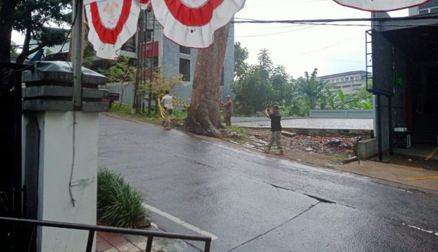 Diduga Melibatkan Oknum DPKP3, Sejumlah Pohon di Kota Bandung Hilang dan Rusak!