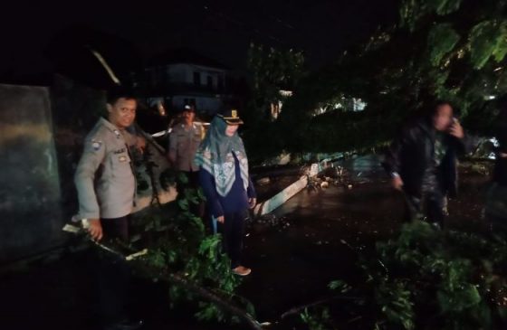 Hujan Deras Akibatkan Pohon Tumbang Di Ciomas, Pihak Kepolisian Lakukan Rekayasa Arus Lalin