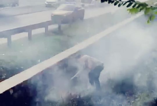 Respon Cepat Polisi Tindaklanjuti Kebakaran Lahan di Pinggir Jalan Tol